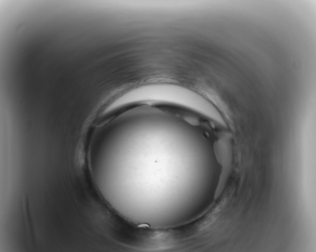 X0000088730060200706071648