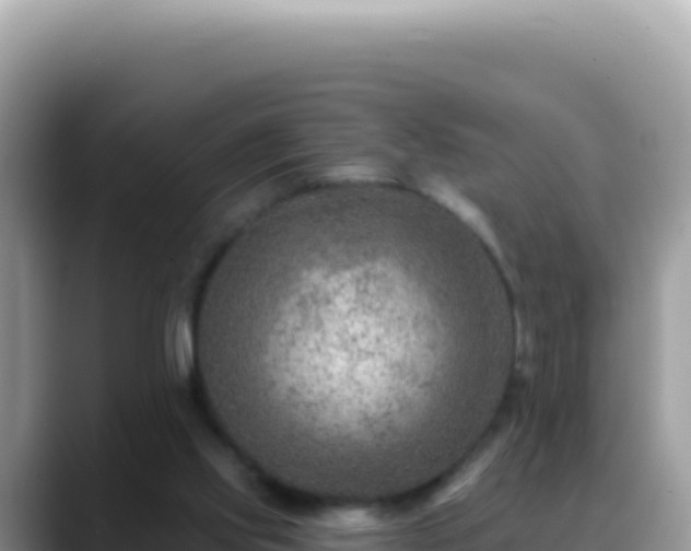 X0000088730061200706071648
