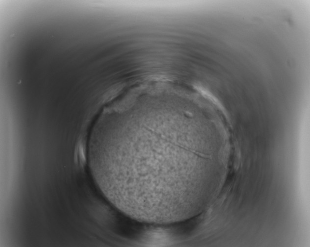 X0000088730062200706071648