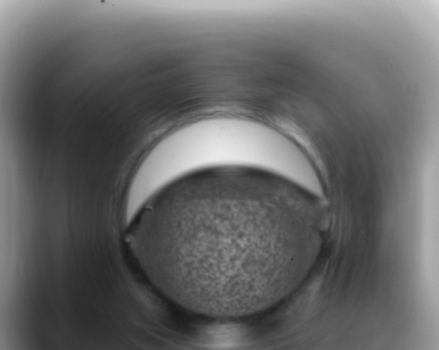 X0000088730063200706071648
