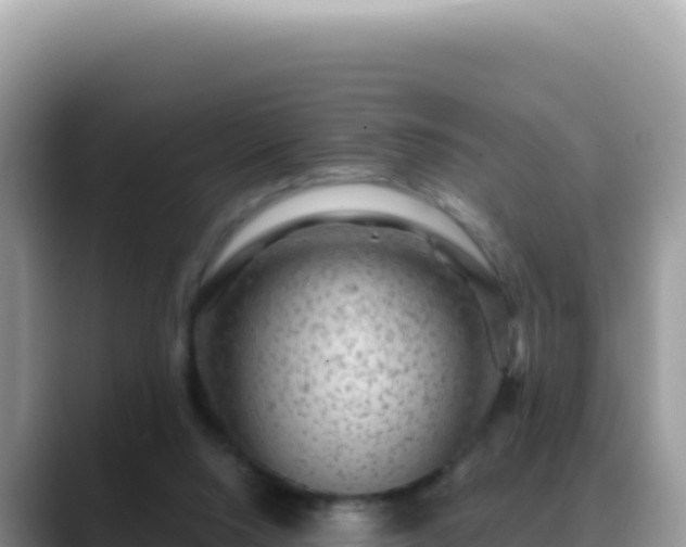 X0000088730064200706071648