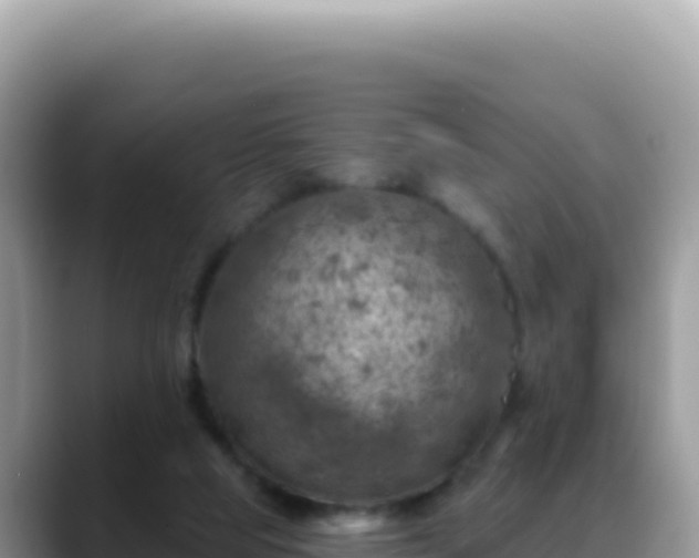 X0000088730065200706071648
