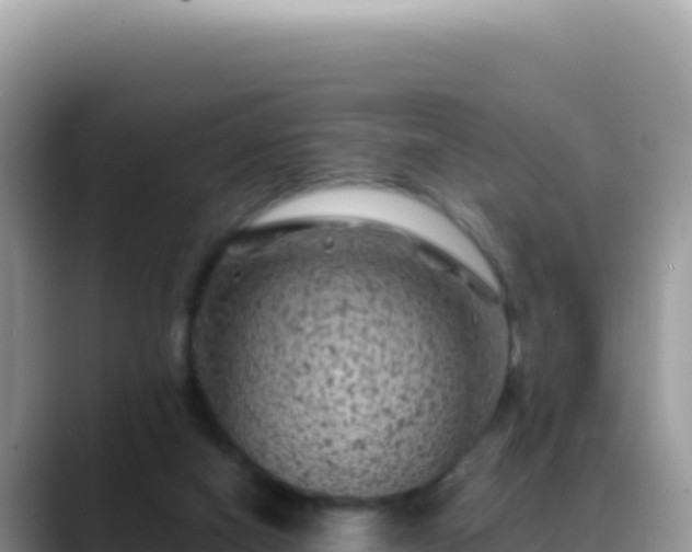 X0000088730066200706071648