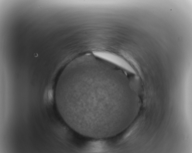 X0000088730067200706071648
