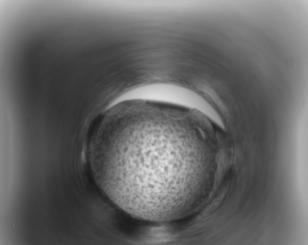 X0000088730068200706071648