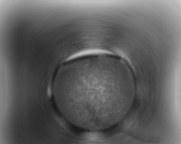 X0000088730069200706071648