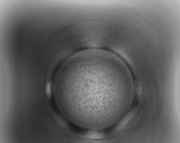 X0000088730070200706071648