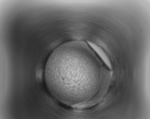X0000088730071200706071648
