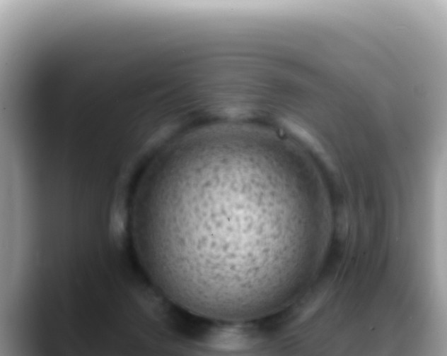 X0000088730072200706071648
