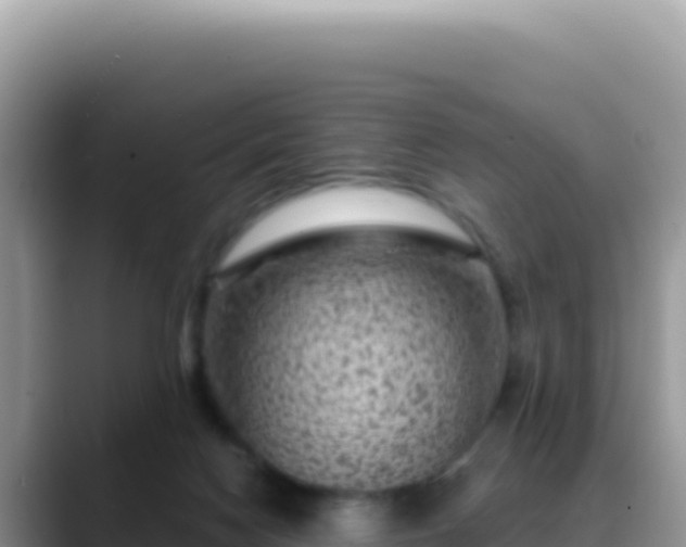 X0000088730074200706071648