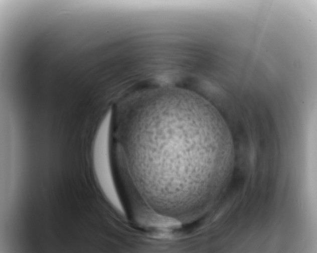 X0000088730075200706071648