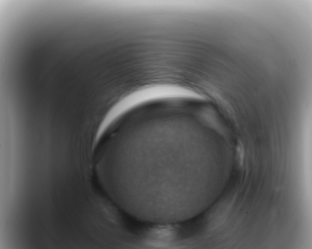 X0000088730076200706071648