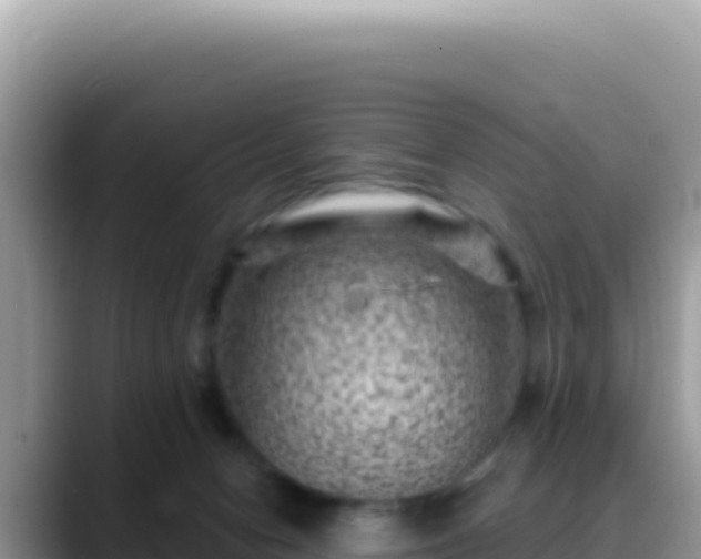 X0000088730078200706071648