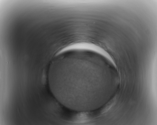 X0000088730080200706071648
