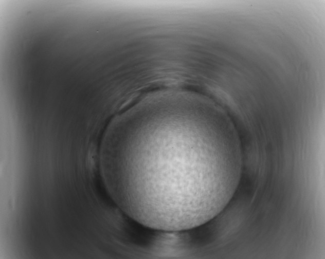 X0000088730083200706071648