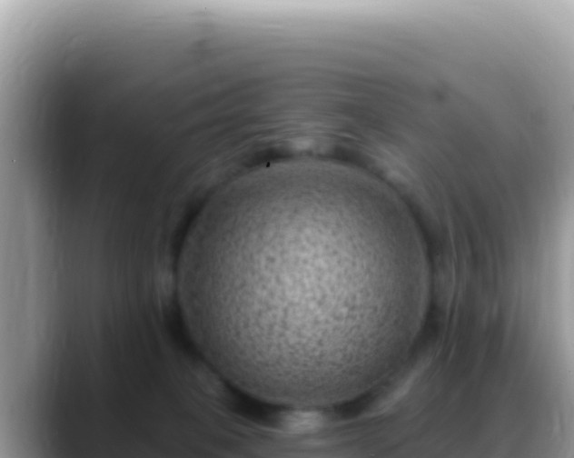 X0000088730085200706071648
