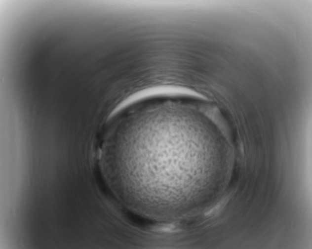 X0000088730086200706071648