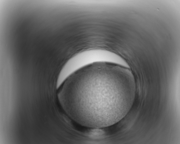 X0000088730087200706071648