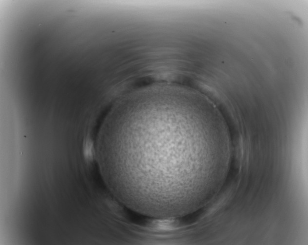 X0000088730089200706071648