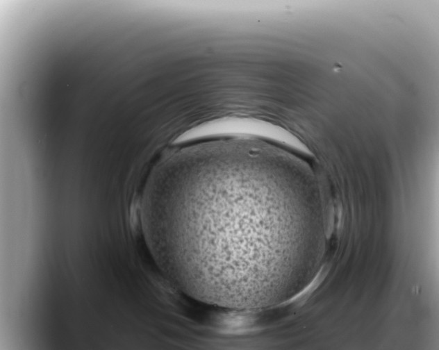 X0000088730094200706071648
