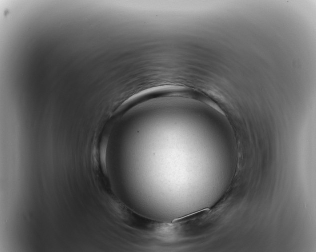 X0000088730096200706071648