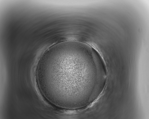 X0000088730097200706071648