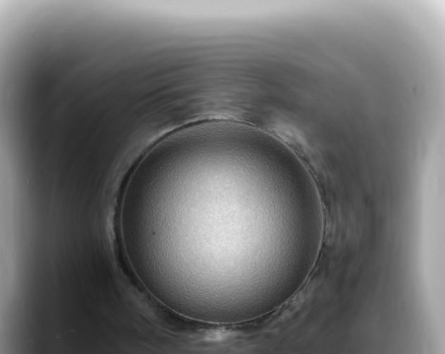 X0000088730098200706071648