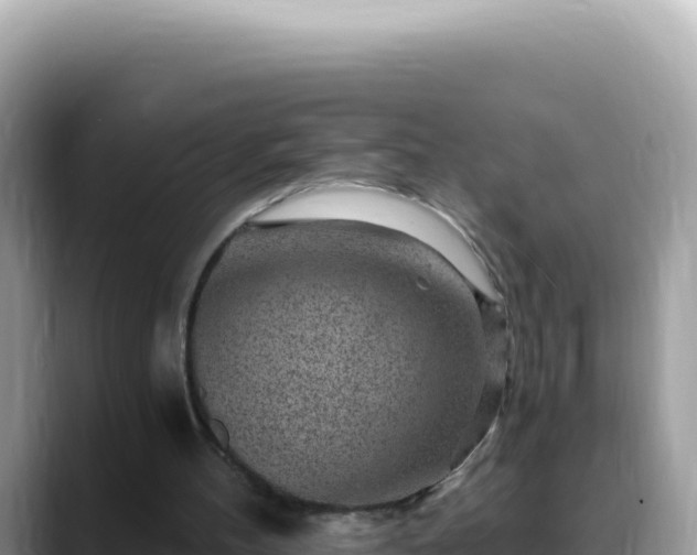 X0000088730100200706071648
