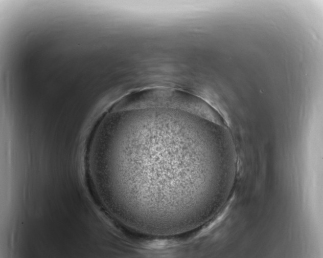 X0000088730101200706071648
