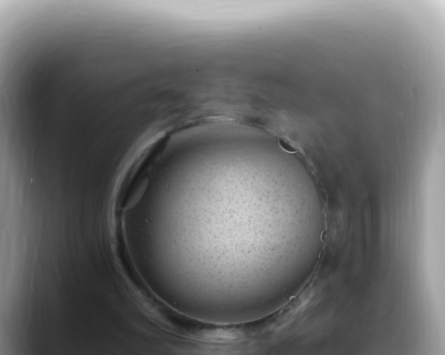 X0000088730102200706071648