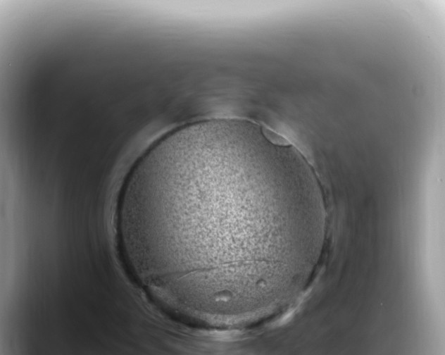 X0000088730103200706071648