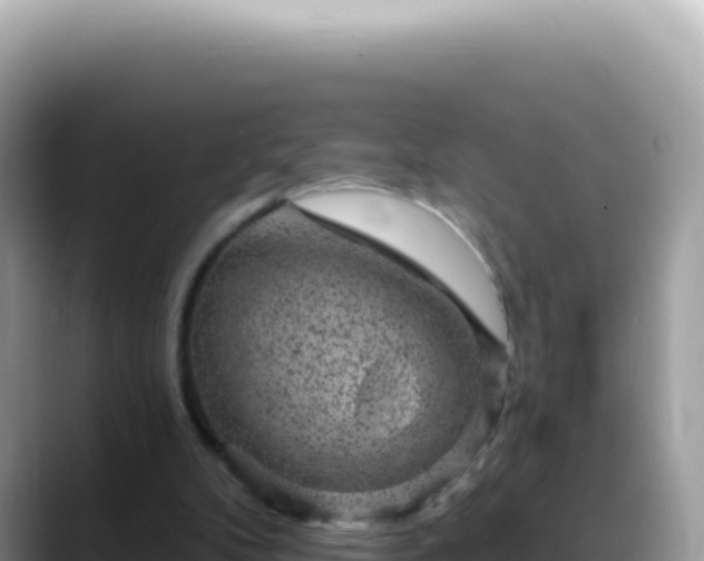 X0000088730104200706071648