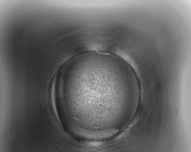 X0000088730105200706071648