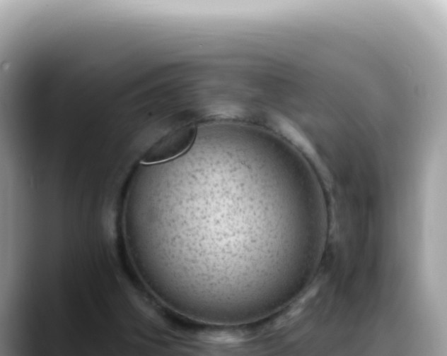 X0000088730106200706071648