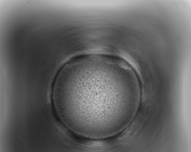 X0000088730107200706071648