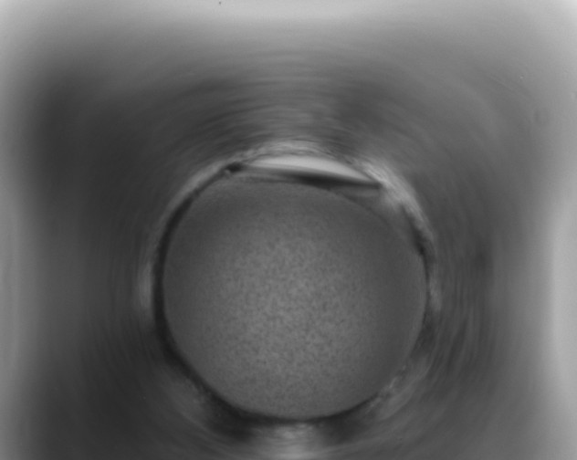 X0000088730108200706071648
