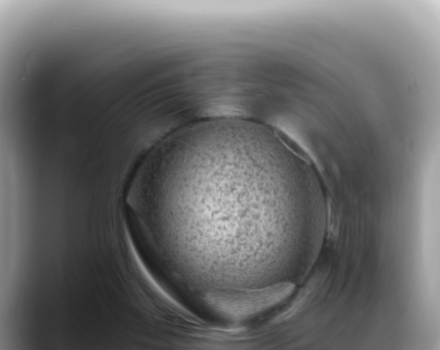 X0000088730109200706071648