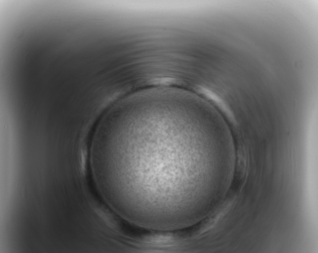 X0000088730110200706071648
