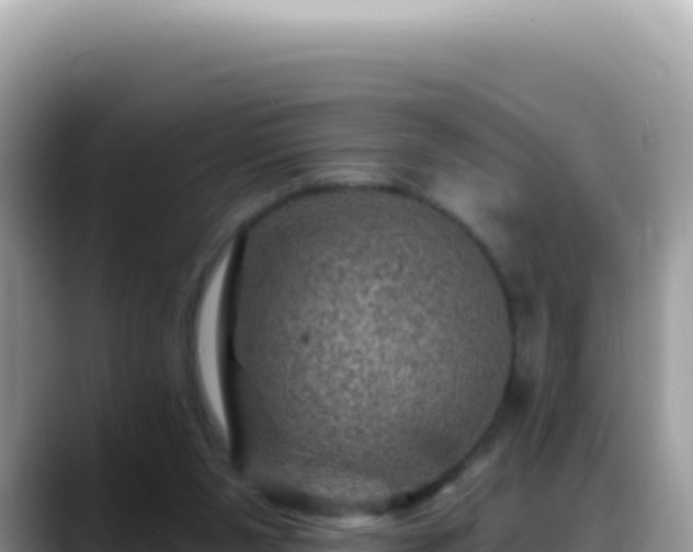 X0000088730111200706071648