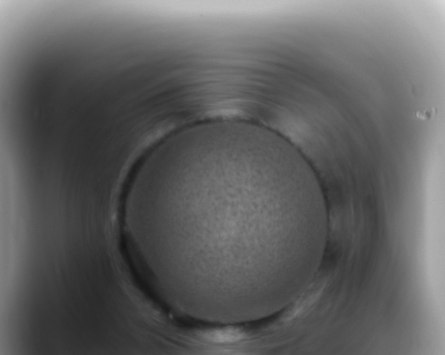 X0000088730112200706071648
