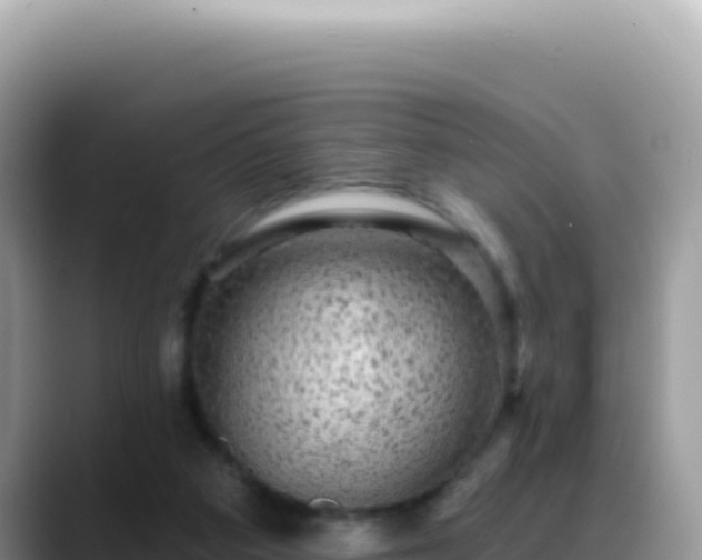 X0000088730113200706071648