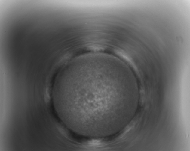 X0000088730114200706071648