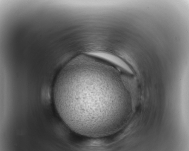 X0000088730115200706071647