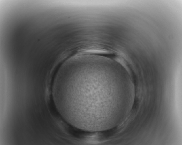 X0000088730116200706071647
