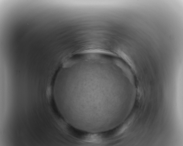 X0000088730117200706071647