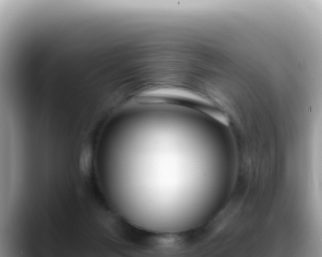 X0000088730118200706071647