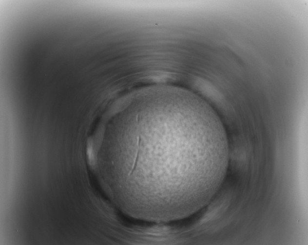 X0000088730119200706071647