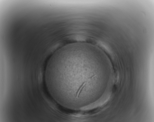 X0000088730120200706071647