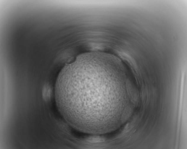 X0000088730123200706071647
