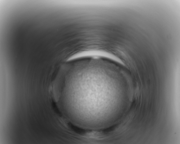 X0000088730125200706071647